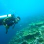 Co je freediving?
